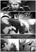 LoTround2_page20